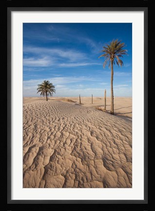 Framed Great Dune and Palm Trees, Tunisia Print