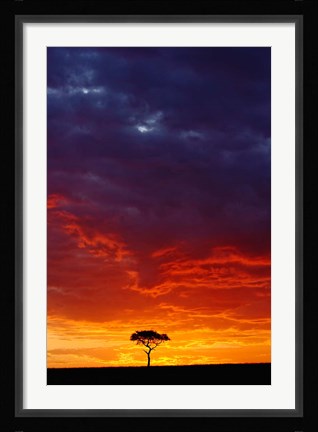 Framed Masai Mara Game Reserve, Kenya Print