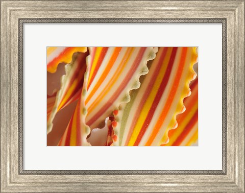 Framed USA. Close-up of dried rainbow pasta noodles Print