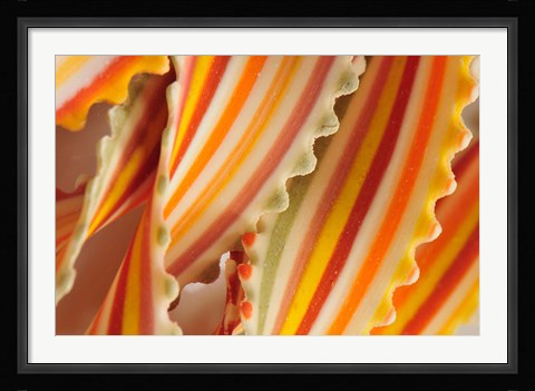 Framed USA. Close-up of dried rainbow pasta noodles Print