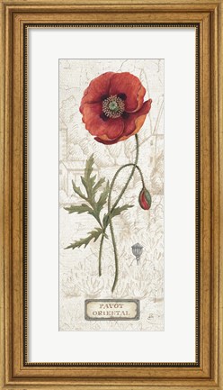 Framed Royal Garden IV Print
