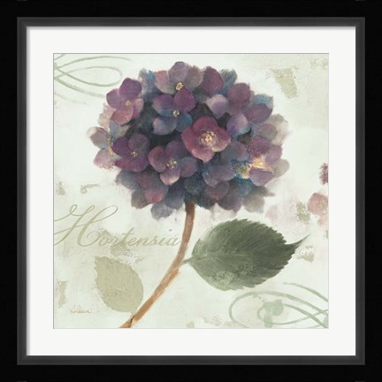 Framed Abundant Hydrangea II Blue Green Print