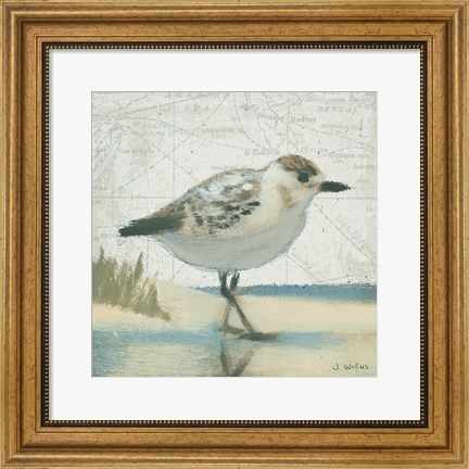 Framed Beach Bird I Print