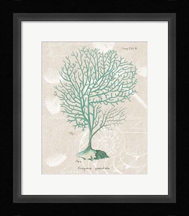 Framed Gorgonia Granulata on Linen Sea Foam Print