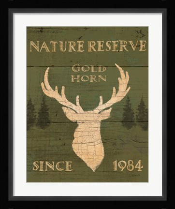 Framed Lodge Signs IX Green Print