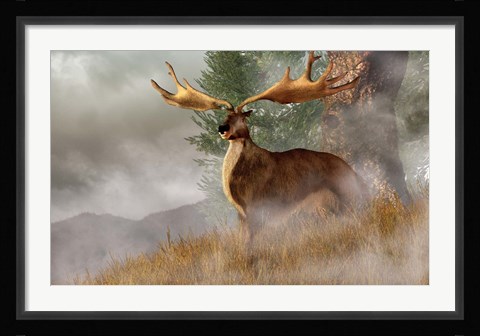 Framed Irish Elk stands in deep grass on a foggy hillside Print