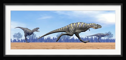 Framed Three Aucasaurus dinosaurs running in the desert Print