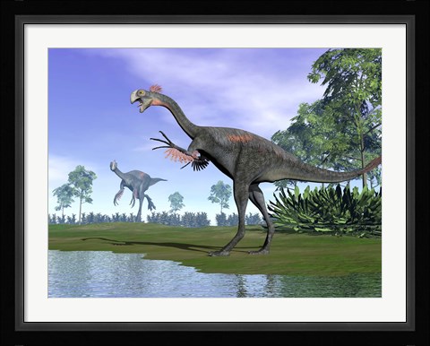 Framed Two Gigantoraptor dinosaurs in a prehistoric environment Print