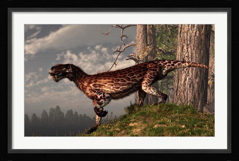 Framed leopard coated Lycaenops hunts among a forest Print