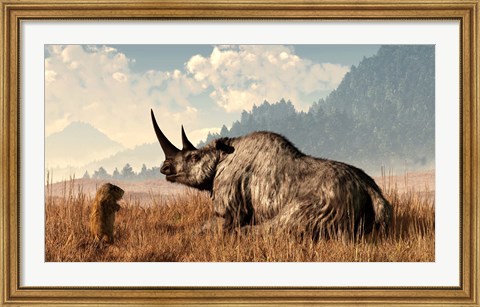 Framed marmot approaches an old and grey woolly rhinocerous Print