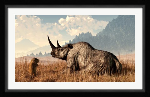Framed marmot approaches an old and grey woolly rhinocerous Print