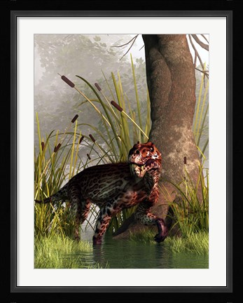 Framed Lycaenops stalking through a shallow prehistoric wetland Print