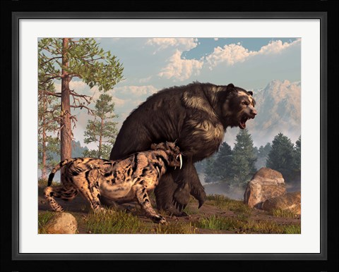 Framed saber-toothed cat tries to drive a short-faced bear out of its territory Print