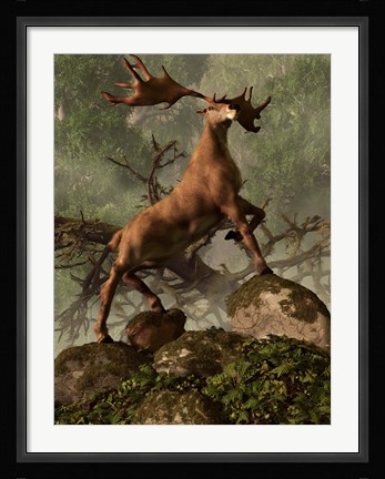 Framed Irish Elk stands proudly in a dense forest Print