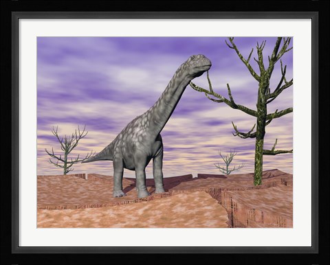 Framed Argentinosaurus standing on the cracked desert ground next to dead trees Print