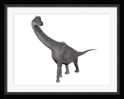 Framed Brachiosaurus dinosaur, white background Print