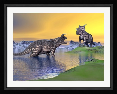 Framed Confrontation between two Einiosaurus dinosaurs Print