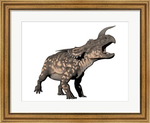 Framed Einiosaurus dinosaur, white background Print