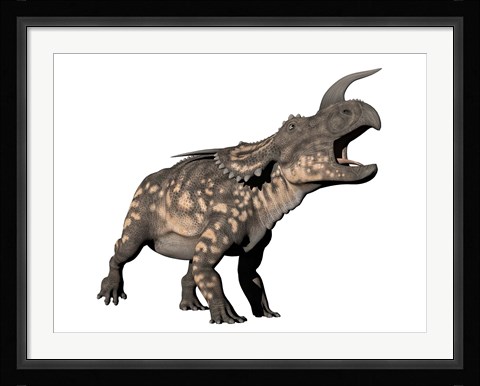 Framed Einiosaurus dinosaur, white background Print