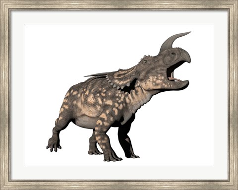 Framed Einiosaurus dinosaur, white background Print