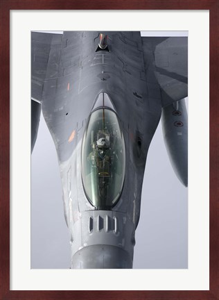 Framed F-16 Fighting Falcon of the Portugese Air Force Print