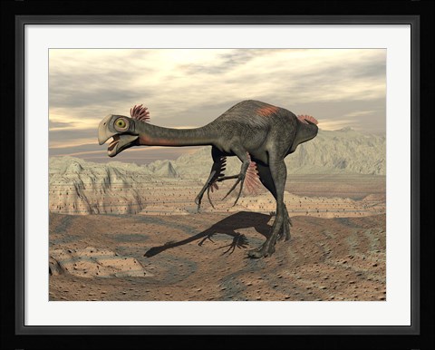 Framed Gigantoraptor dinosaur walking  on rocky terrain Print