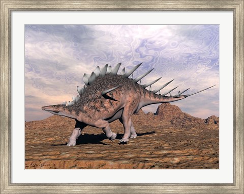 Framed Kentrosaurus dinosaur walking in the desert Print