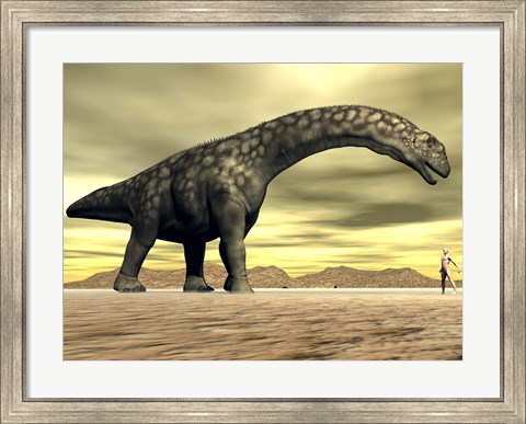 Framed Large Argentinosaurus dinosaur face to face with a human Print