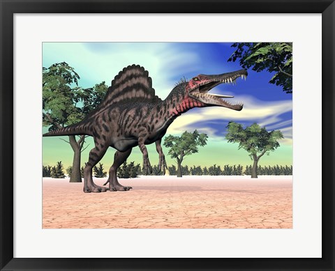 Framed Spinosaurus standing in the desert with trees Print