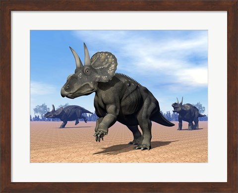 Framed Three Nedoceratops in the desert by daylight Print