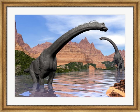 Framed Two Brachiosaurus dinosaurs in water next to red rock mountains Print
