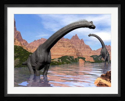 Framed Two Brachiosaurus dinosaurs in water next to red rock mountains Print