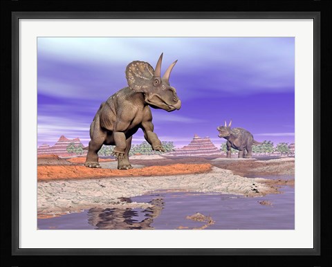 Framed Two Nedoceratops next to water in a colorful rocky landscape Print