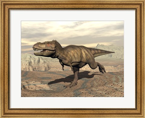 Framed Tyrannosaurus Rex dinosaur running across rocky terrain Print
