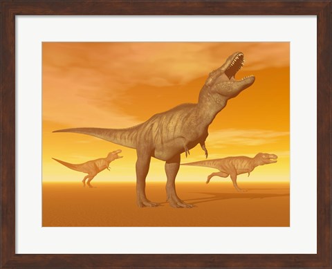 Framed Tyrannosaurus Rex dinosaurs in an orange foggy desert by sunset Print
