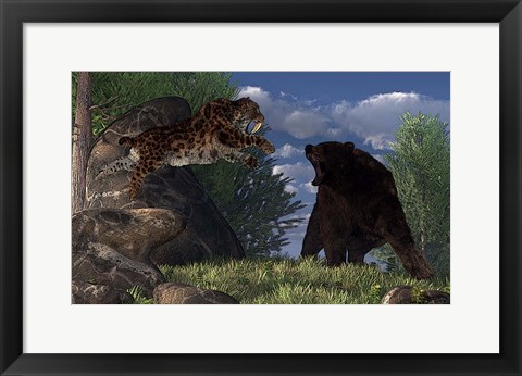 Framed saber-toothed cat leaps at a grizzly bear on a mountain path Print