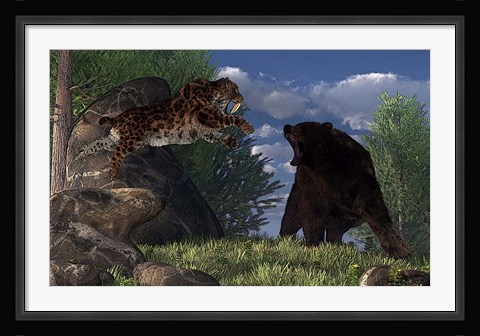 Framed saber-toothed cat leaps at a grizzly bear on a mountain path Print
