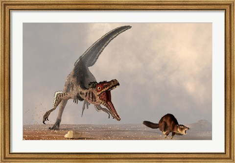 Framed velociraptor chasing a rat sized mammal Print