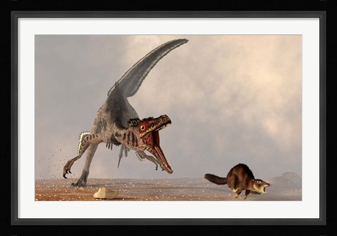 Framed velociraptor chasing a rat sized mammal Print