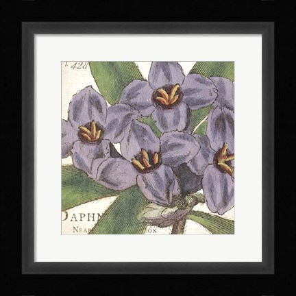 Framed Purple Floral Print