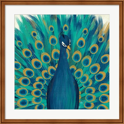 Framed Proud as a Peacock I Print