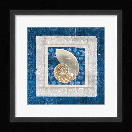 Framed Sea Shell II on Blue Print