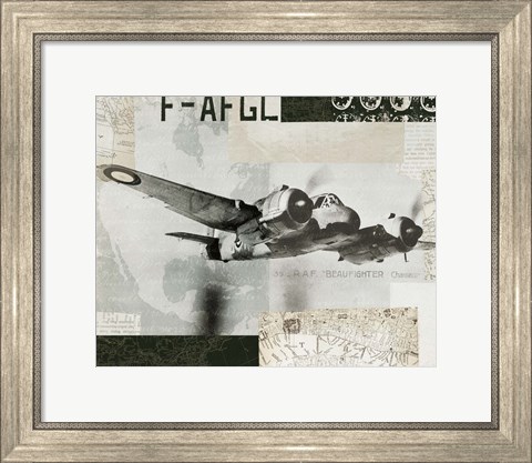 Framed Wings Collage III Print