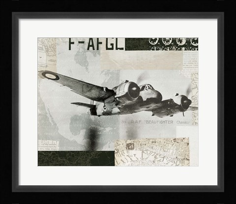 Framed Wings Collage III Print