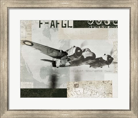 Framed Wings Collage III Print