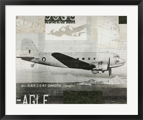 Framed Wings Collage IV Print