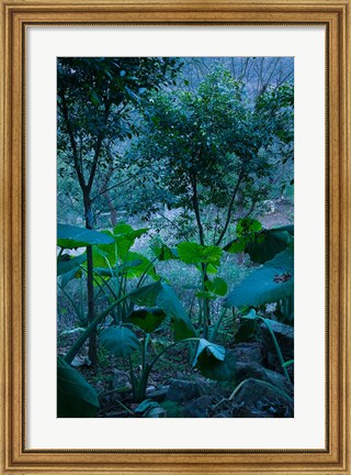 Framed Temple Garden, Fengdu, Chongqing Province, China Print
