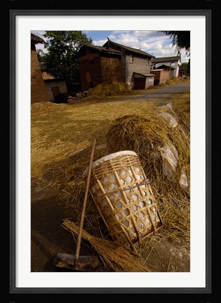 Framed Bai Minority Laying Wheat on the Road, Jianchuan County, Yunnan Province, China Print