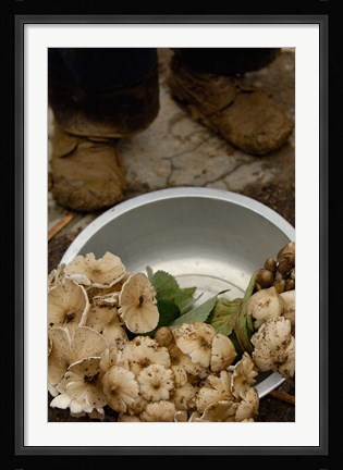Framed Wild Mushrooms For Sale, Honghe Prefecture, Yunnan Province, China Print