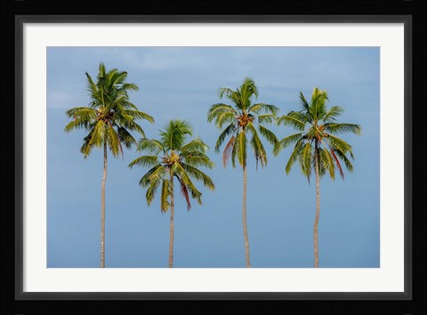 Framed Coconut trees in Backwaters, Kerala, India Print